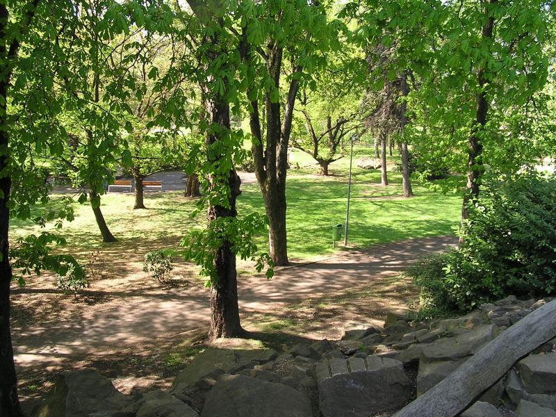 p1010070.jpg