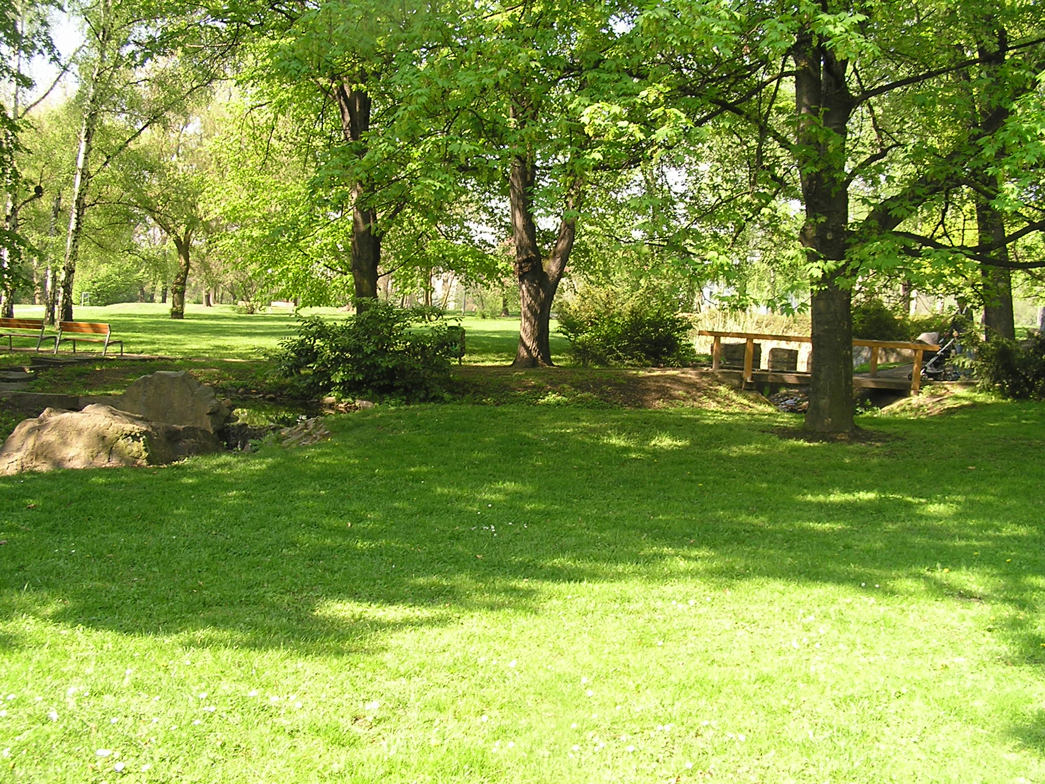 p1010074.jpg