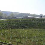 p1010010.jpg