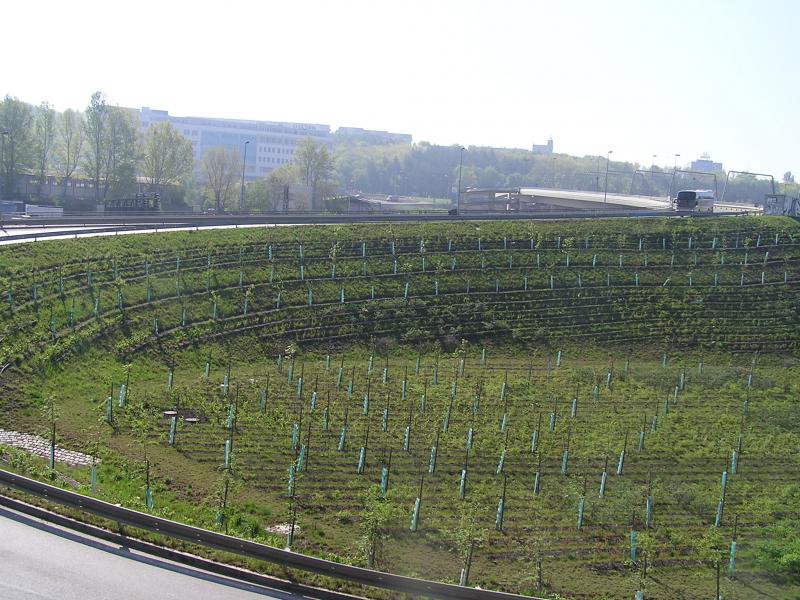 p1010011.jpg