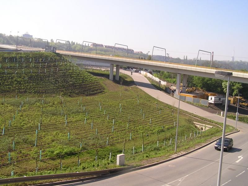 p1010012.jpg