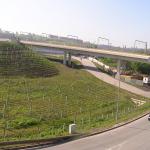 p1010012.jpg