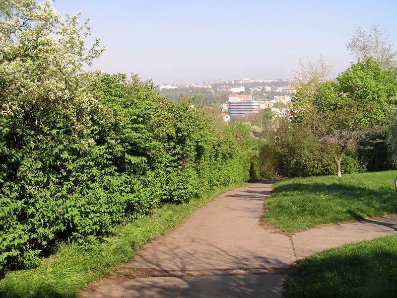 p1010015.jpg