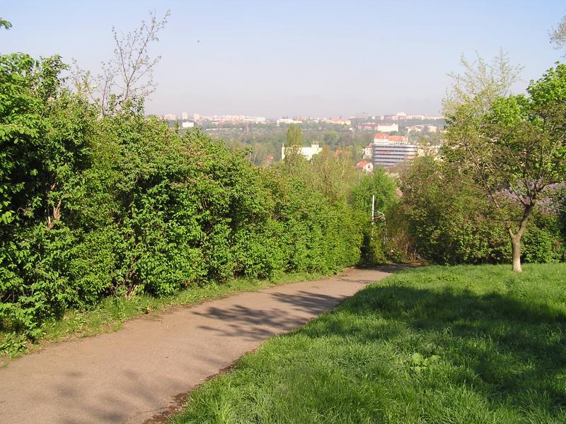 p1010016.jpg