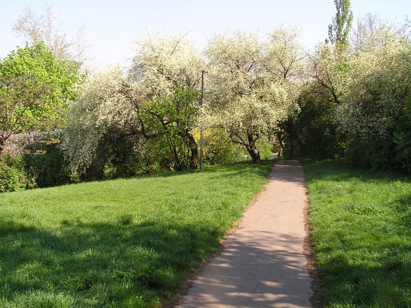 p1010017.jpg