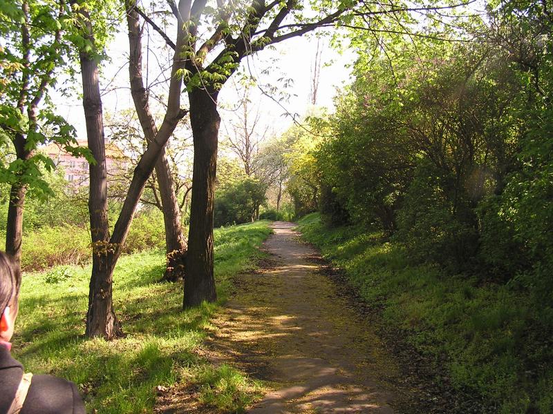 p1010020.jpg