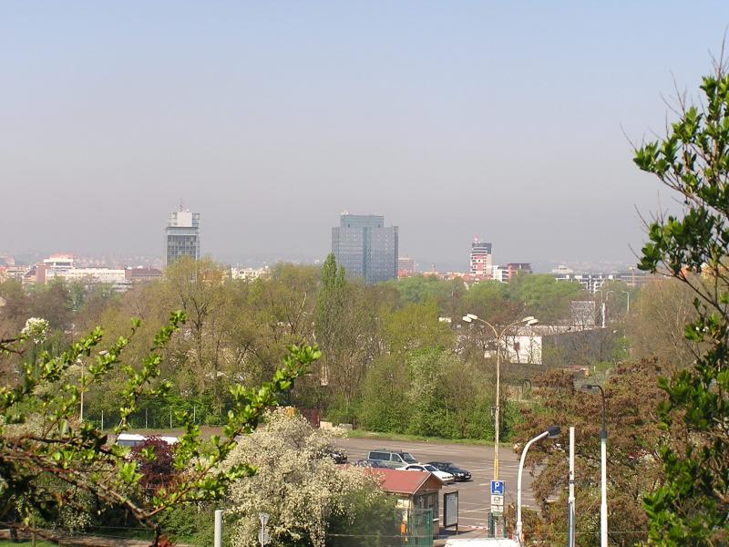 p1010021.jpg