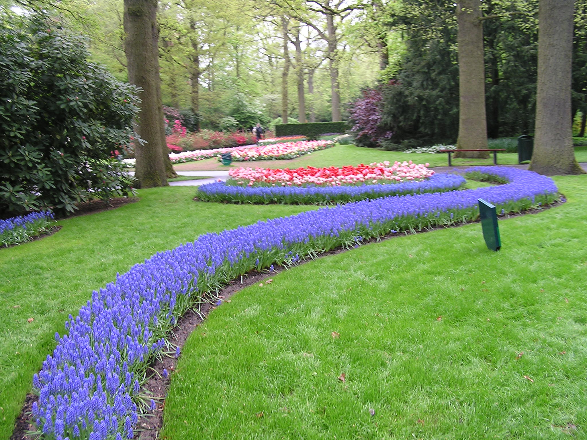 P1010476.JPG