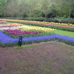 P1010008.JPG