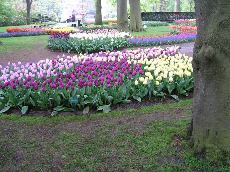 P1010019.JPG