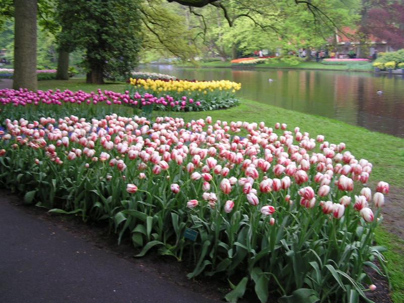 P1010024.JPG