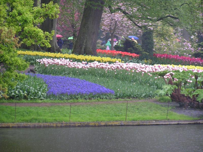P1010032.JPG