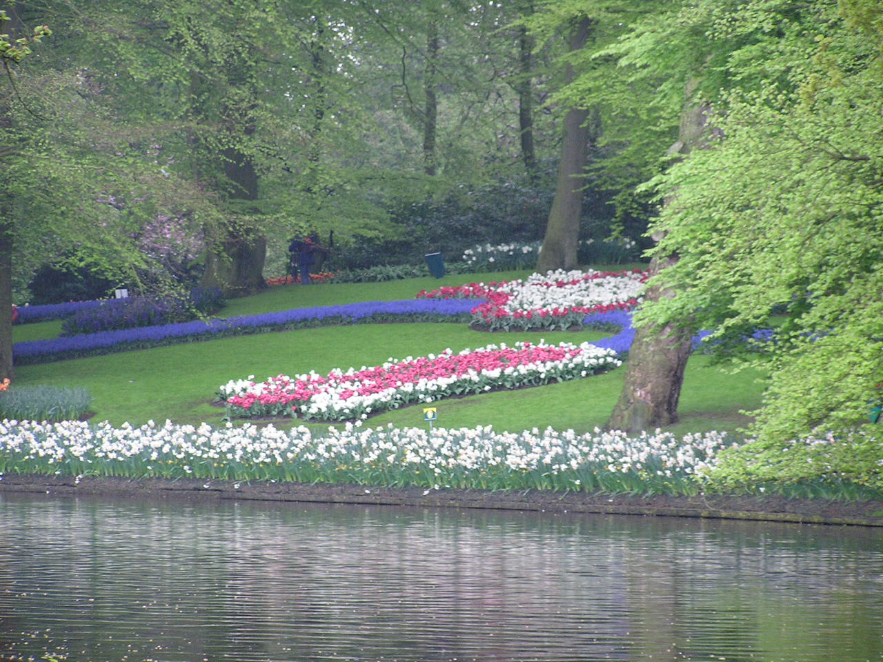 P1010036.JPG