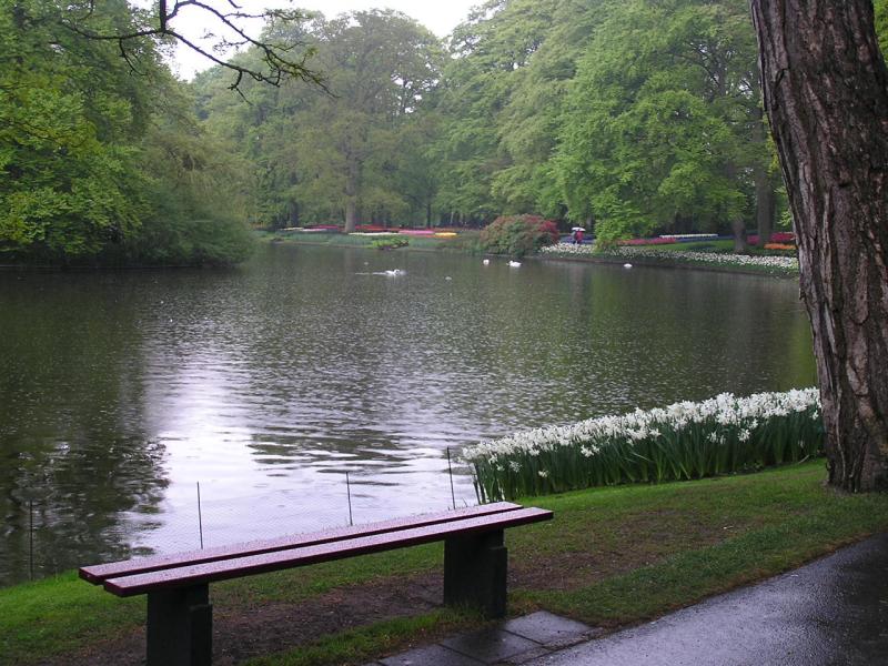 P1010038.JPG