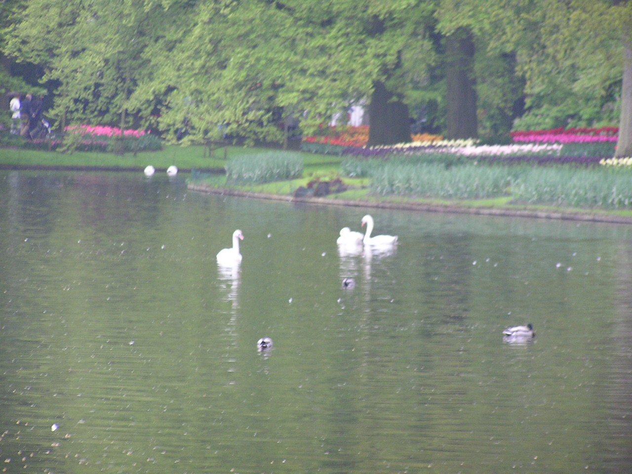 P1010042.JPG