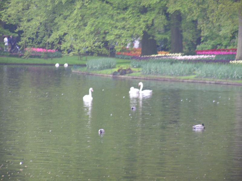 P1010042.JPG