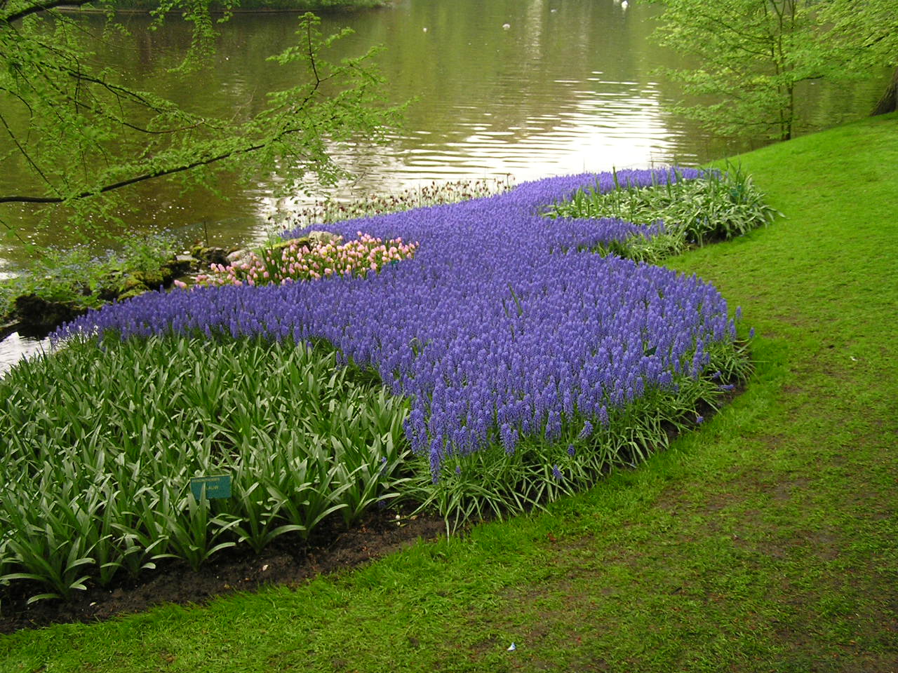 P1010046.JPG