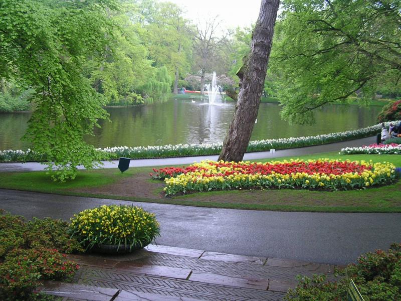 P1010051.JPG