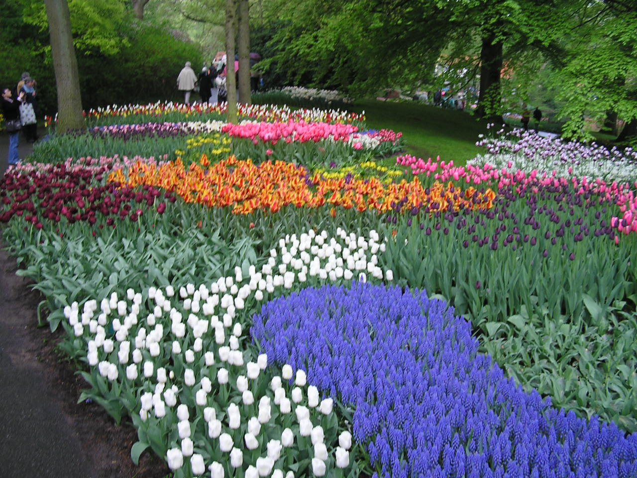 P1010057.JPG