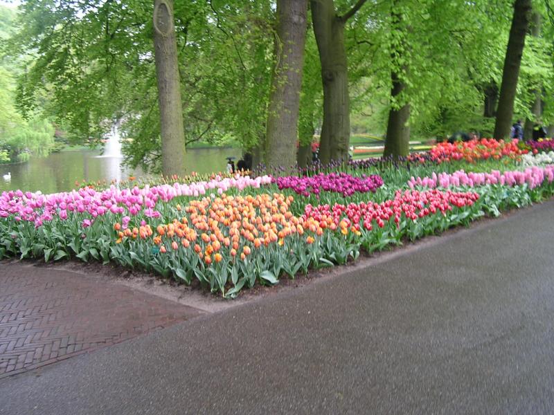P1010066.JPG