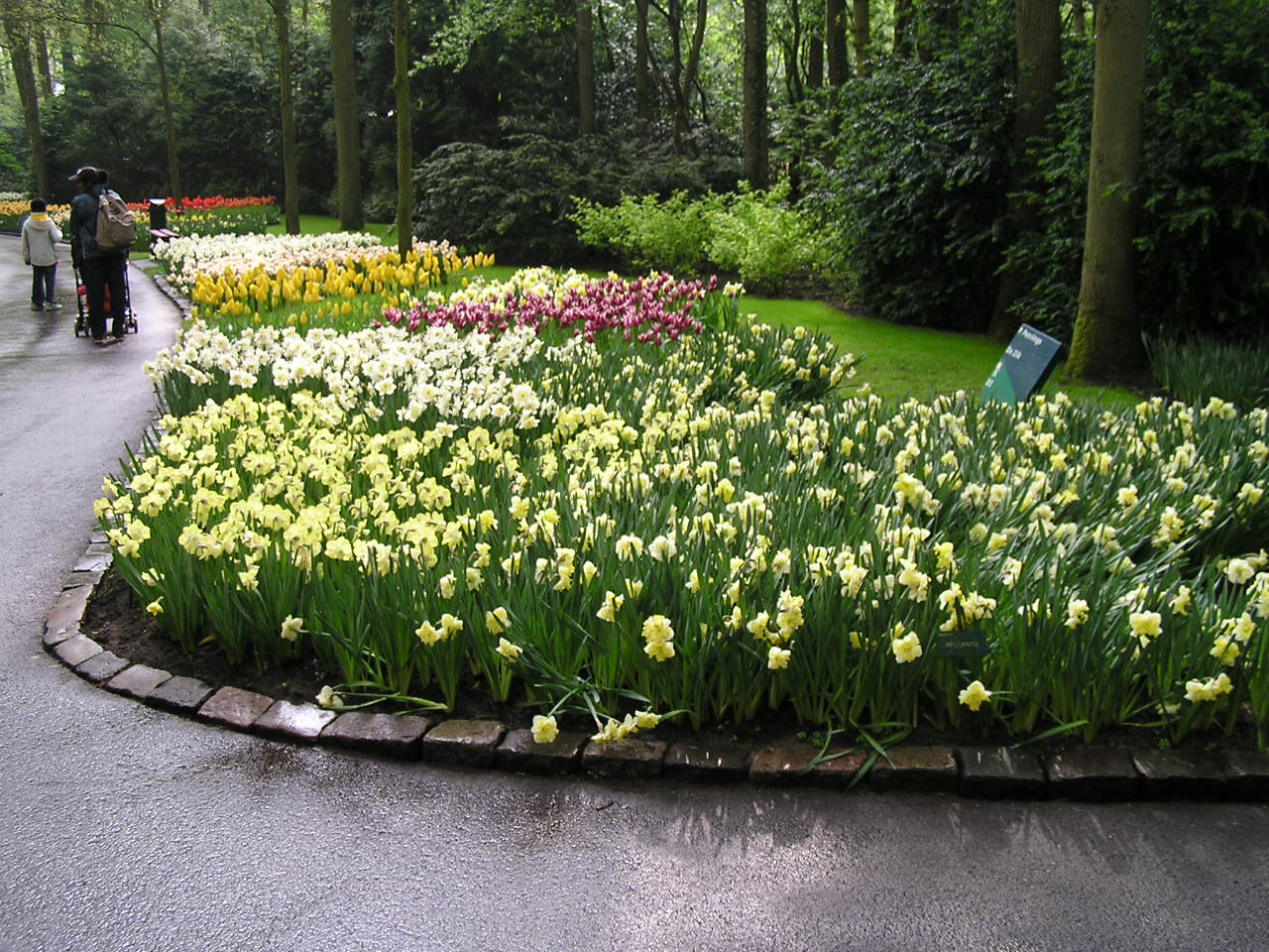 P1010069.JPG