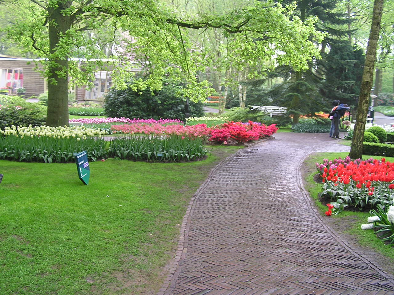 P1010072.JPG