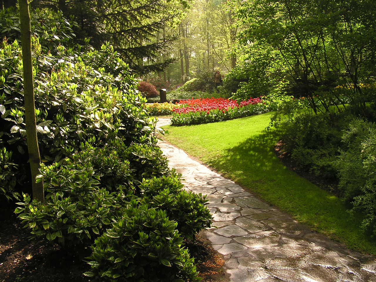 P1010074.JPG