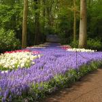 P1010104.JPG