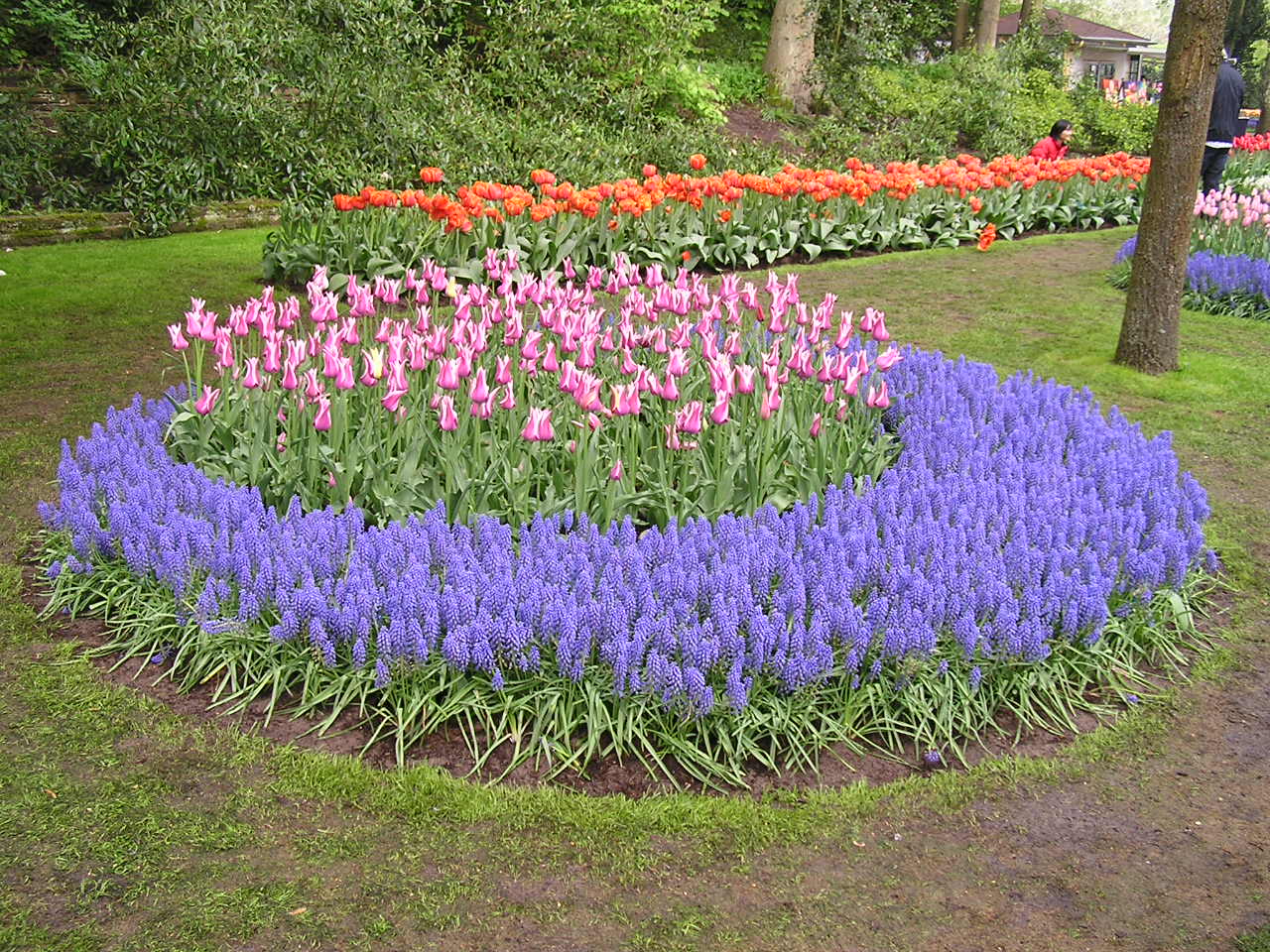 P1010115.JPG