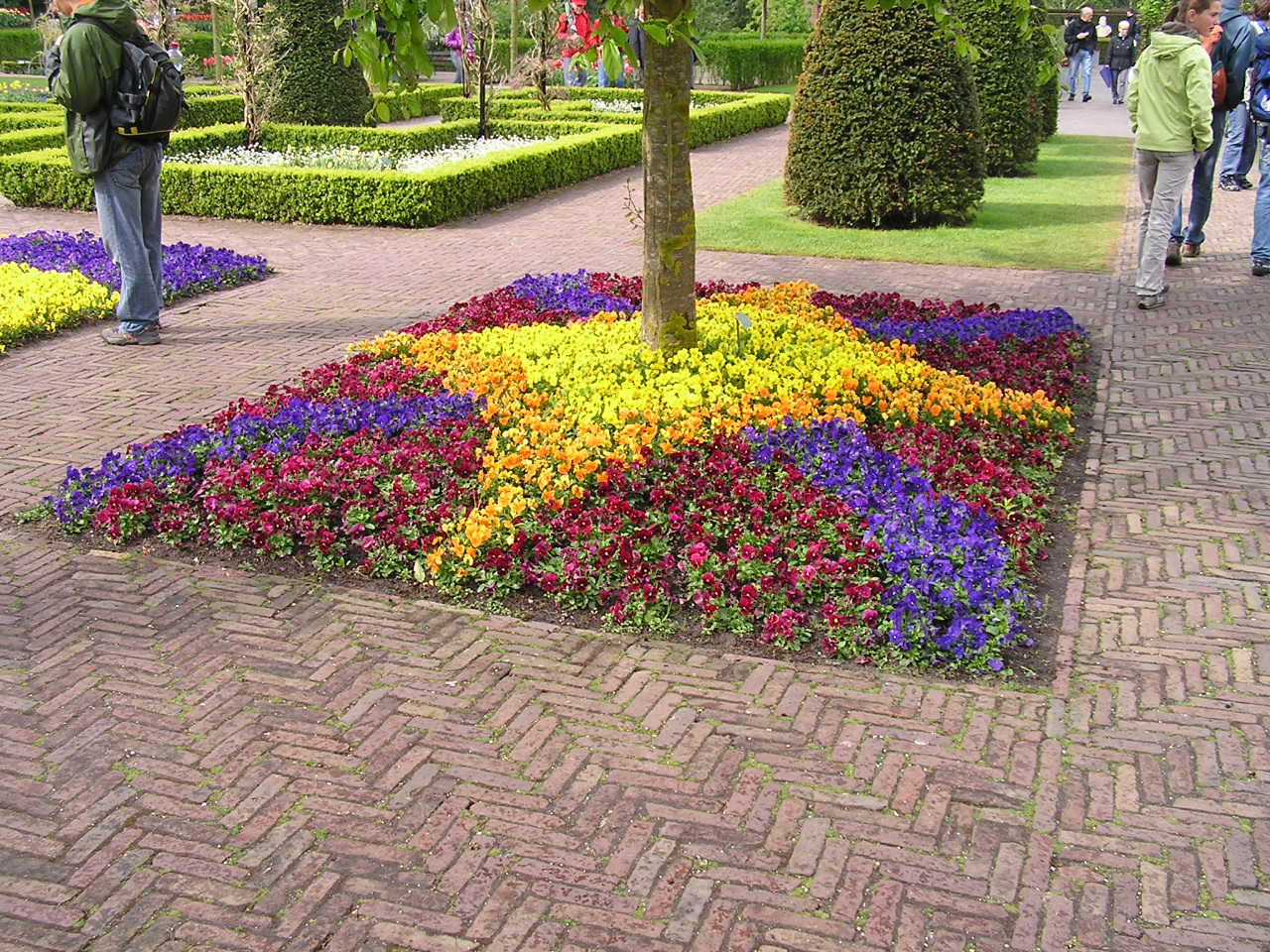 P1010127.JPG