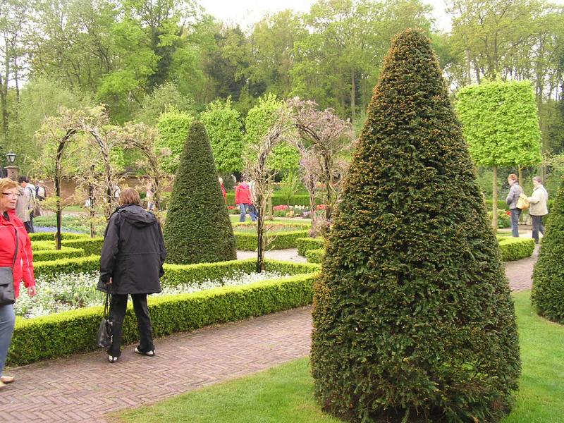 P1010129.JPG