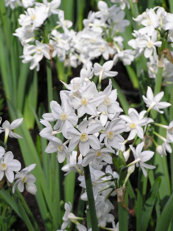 P1010147.JPG