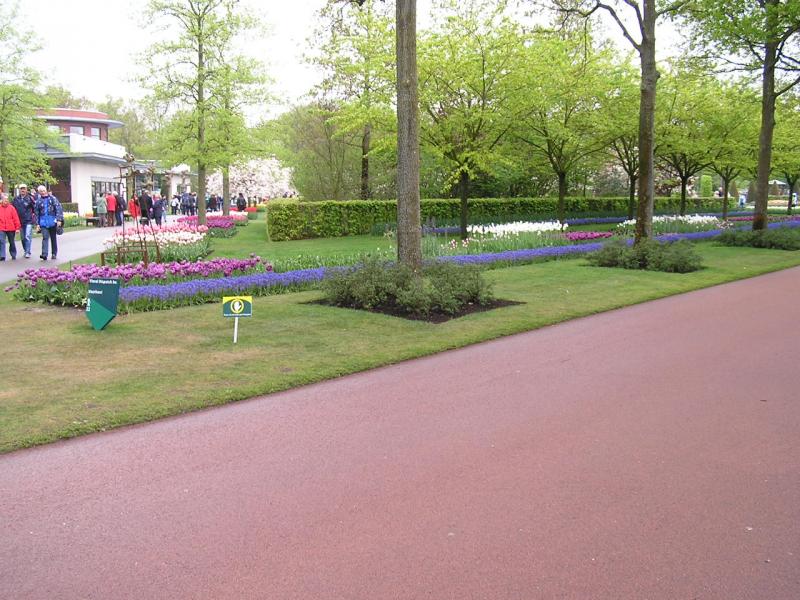 P1010150.JPG