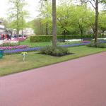 P1010150.JPG
