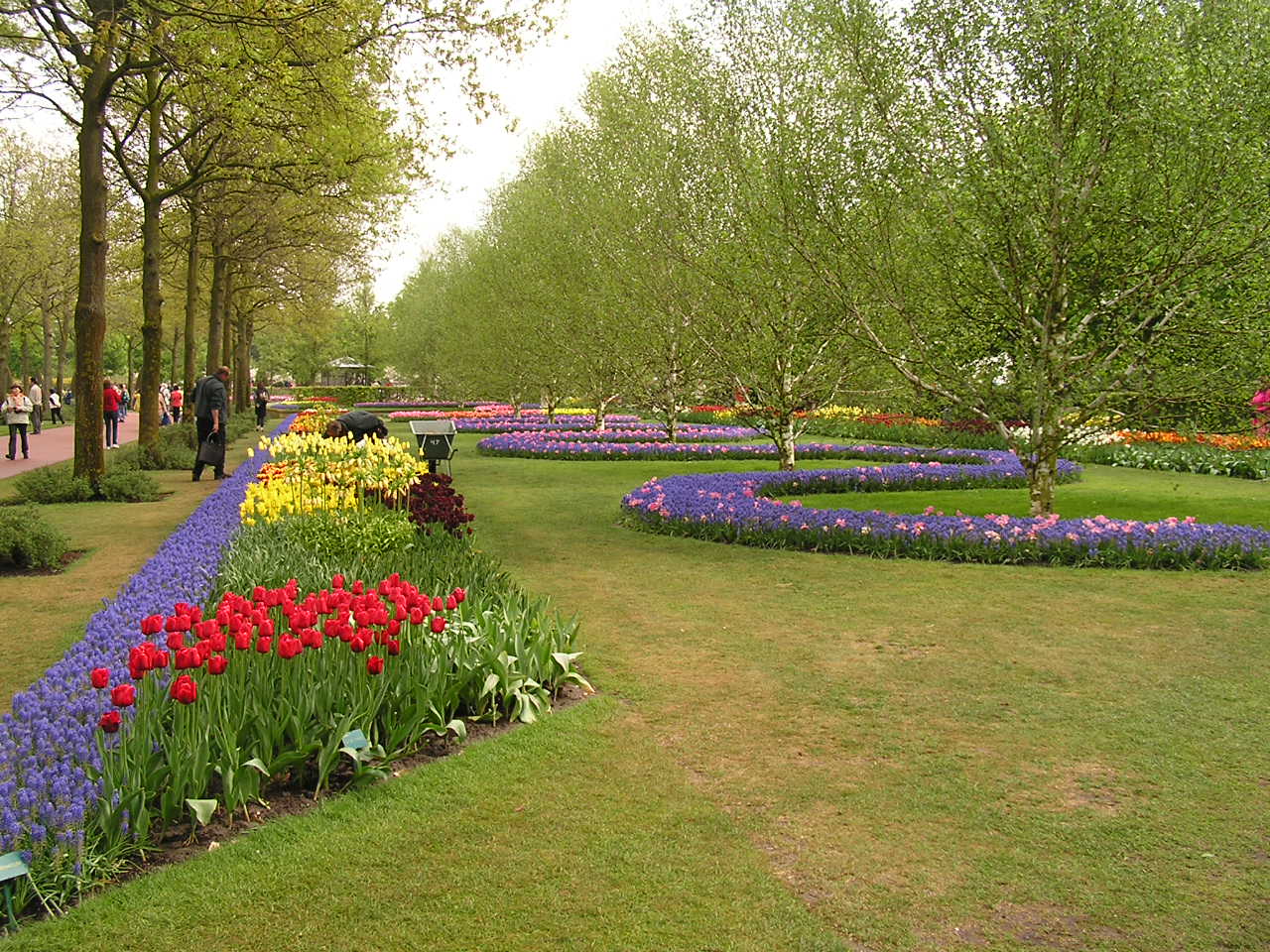 P1010151.JPG