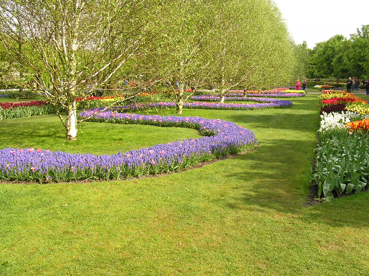 P1010154.JPG