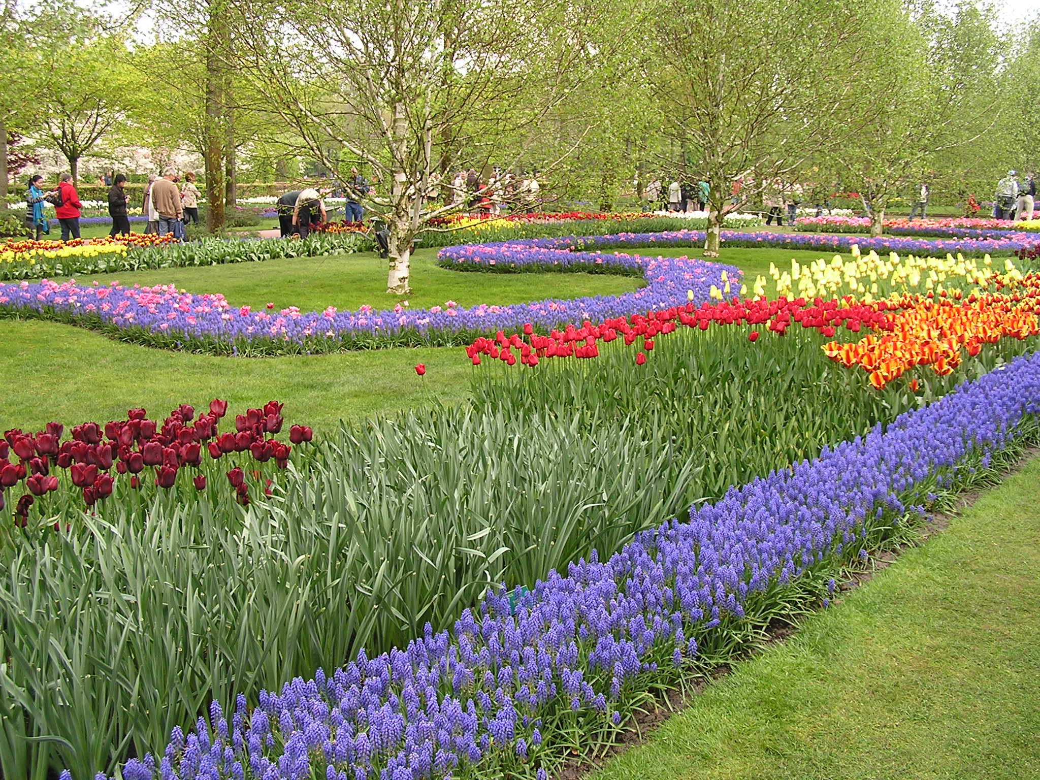 P1010157.JPG