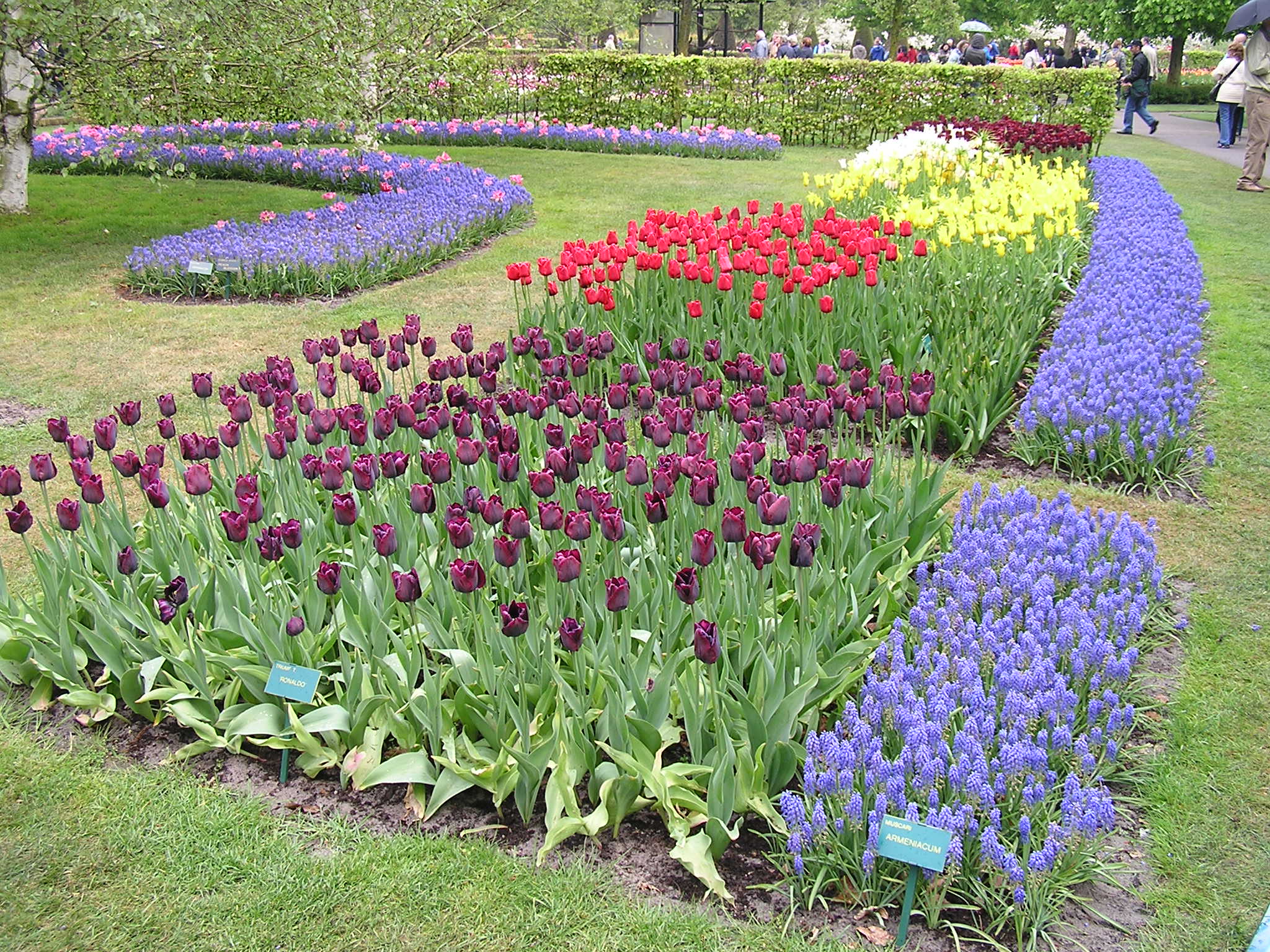 P1010161.JPG
