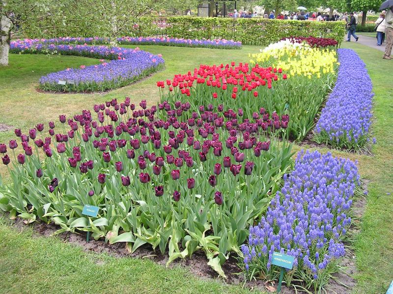 P1010161.JPG
