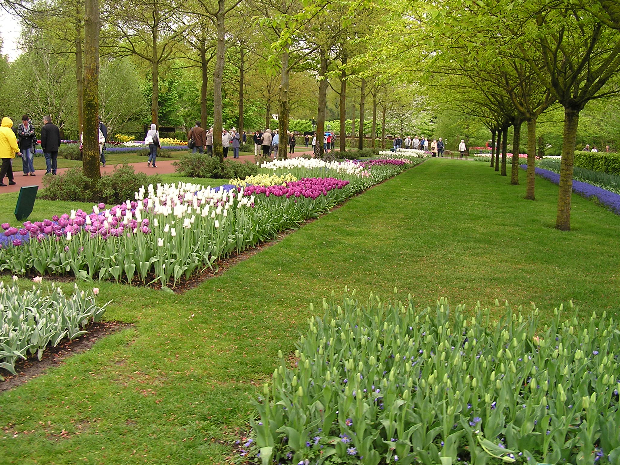 P1010164.JPG