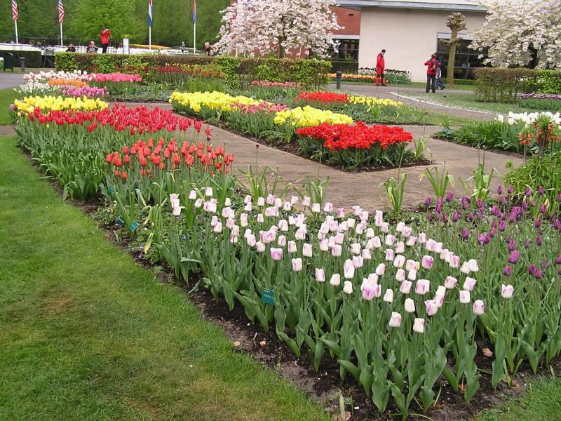 P1010165.JPG