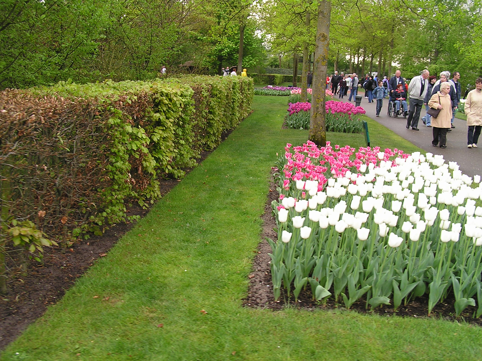 P1010167.JPG