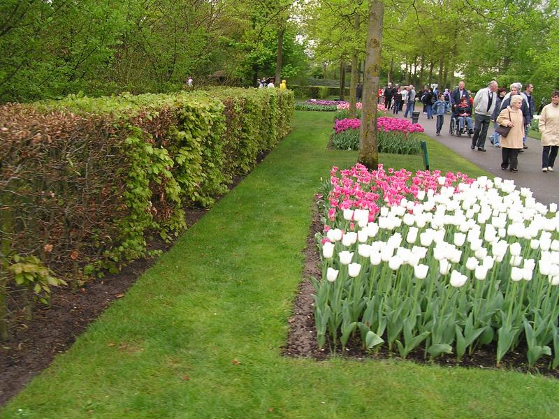 P1010167.JPG