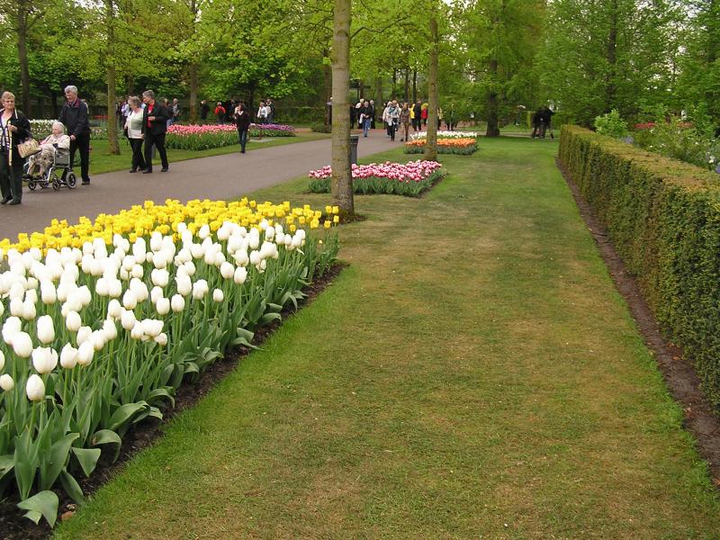 P1010169.JPG