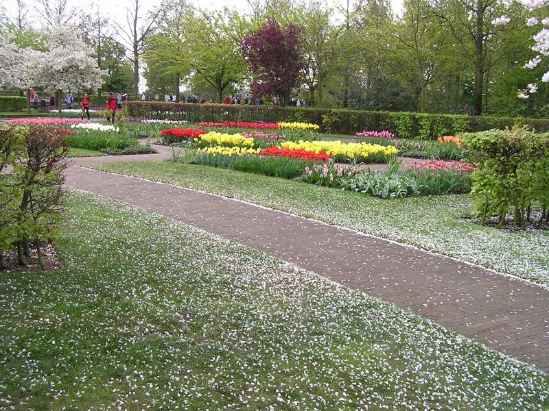 P1010170.JPG