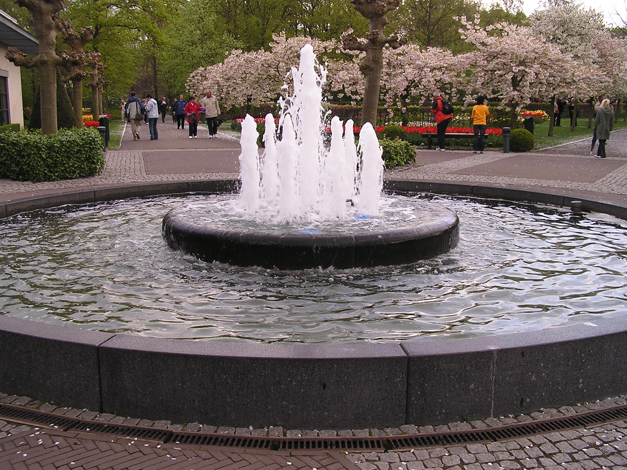 P1010172.JPG