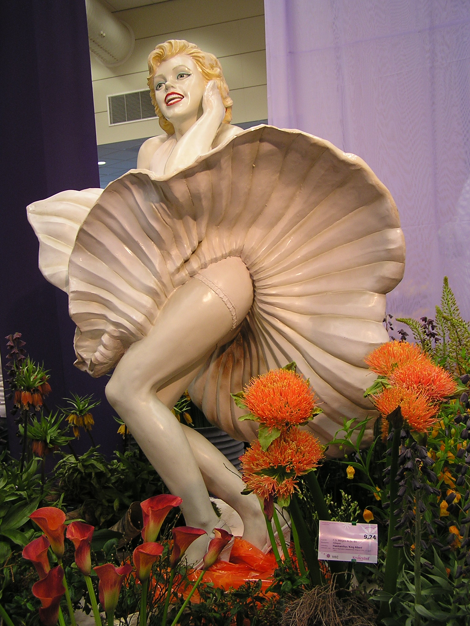 P1010183.JPG