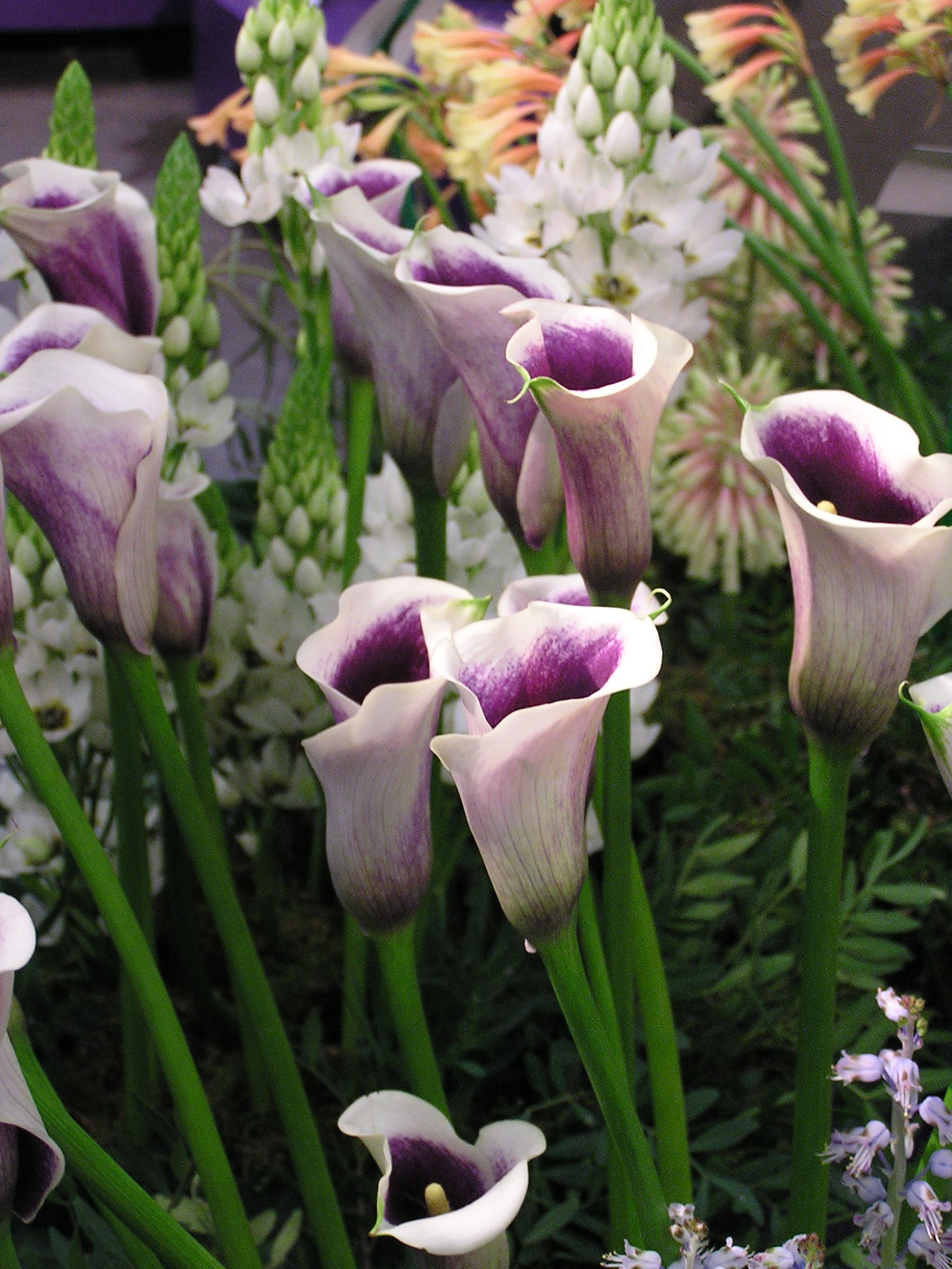 P1010187.JPG