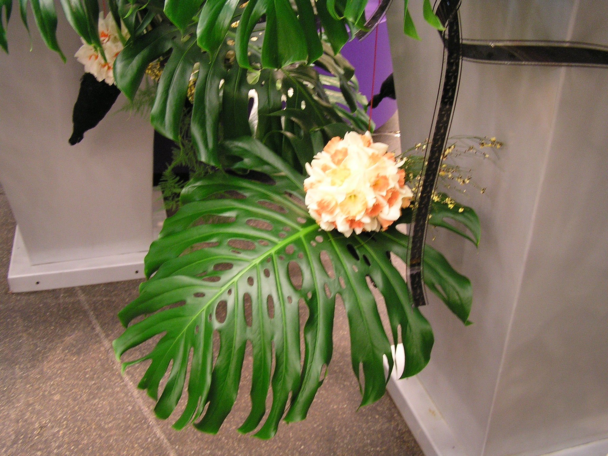 P1010191.JPG