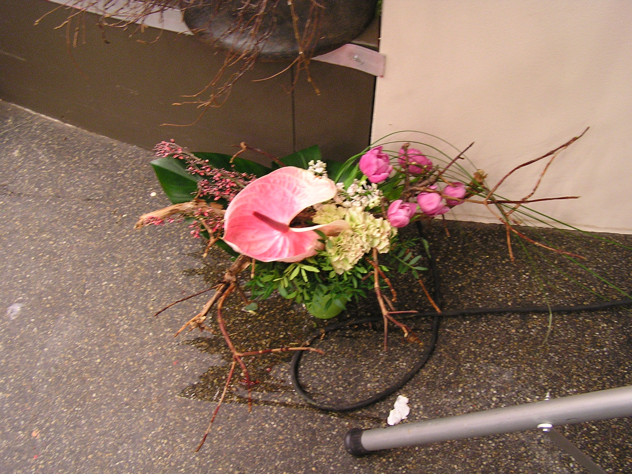 P1010195.JPG